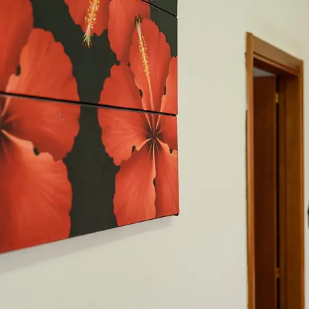 Di Fabio E Veronica Lt Napoli